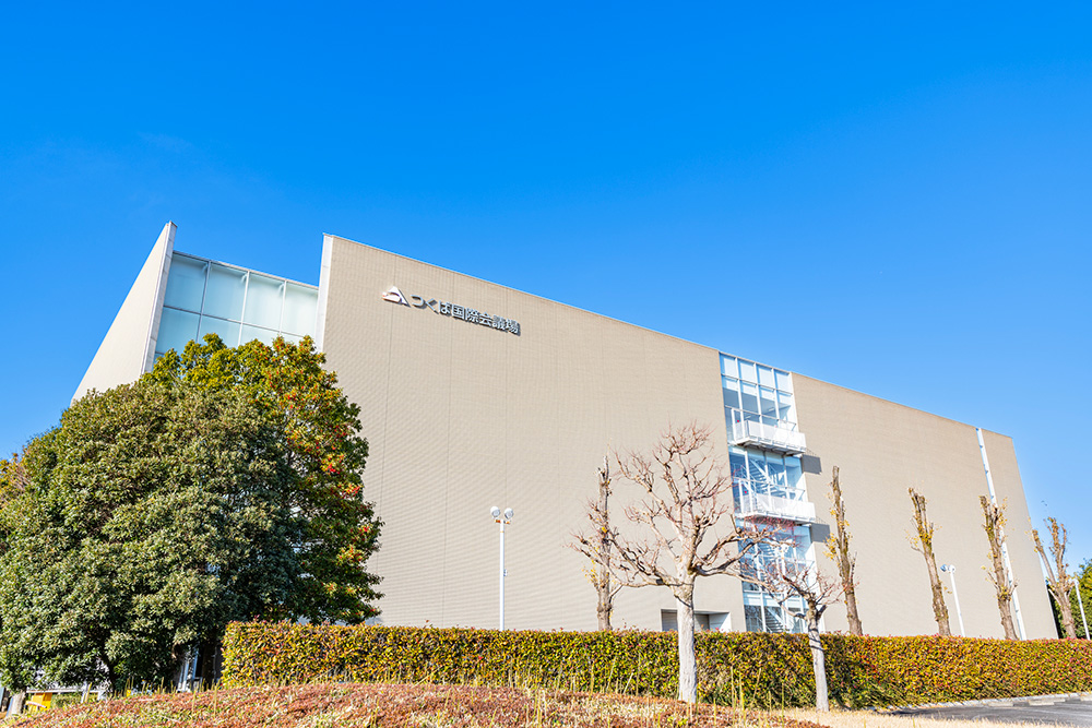 京都大学